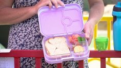 School Ready – Your Childs Lunchbox