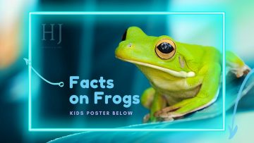 Facts-on-Frogs-Banner.jpg