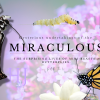 2022-Miraculous-Image-.png