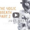The-Yogic-Breath-school-web-1080×675.jpg