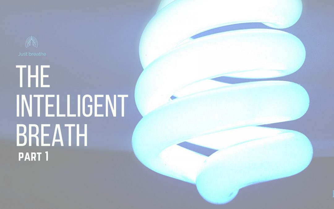 The Intelligent Breath: Part 1