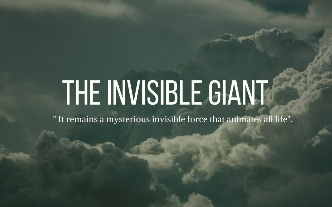 The Invisible Giant