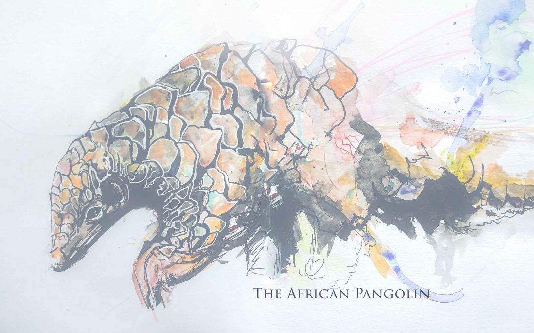 The Magical Pangolin